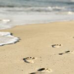 Lebst du deinen Traum?