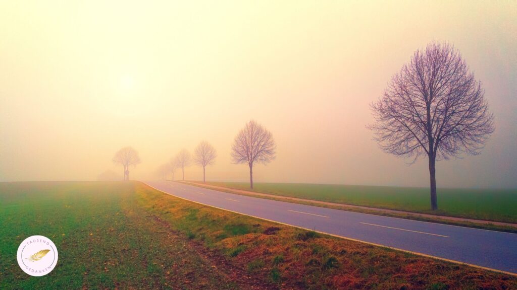 Was brauchst du wirklich?